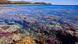 A coral reef near Fiji islands.