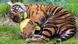 The Sumatran tiger cub with the Easter egg